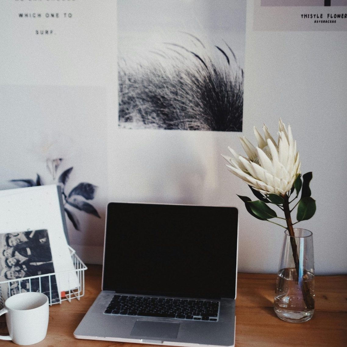 Ruhiger Arbeitsplatz mit Laptop und Blume - Raum für Klarheit, Reflexion und Neuausrichtung